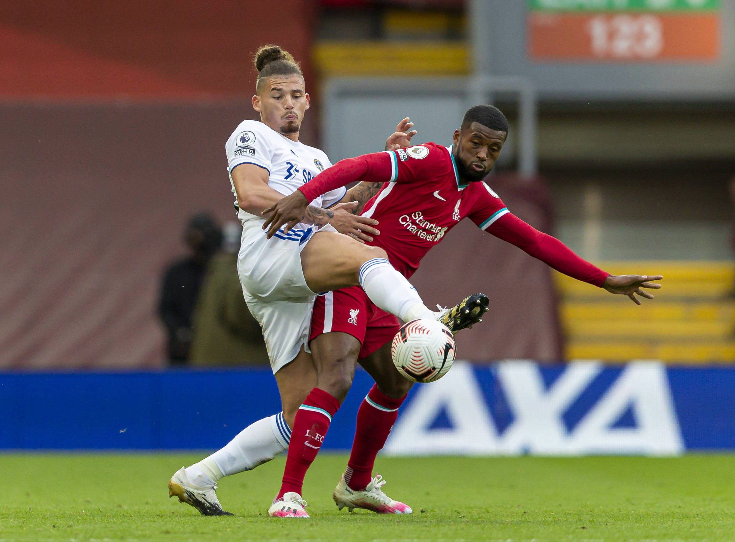 他代表了白 他代表了白