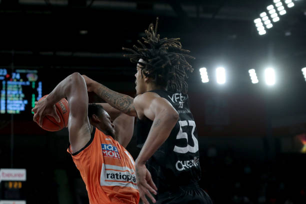 表现充满期 表现充满期